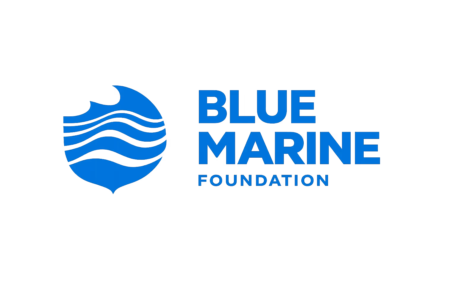 Blue Marine Foundation logo